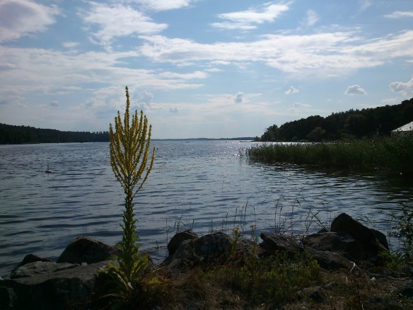 Lake Ekoln