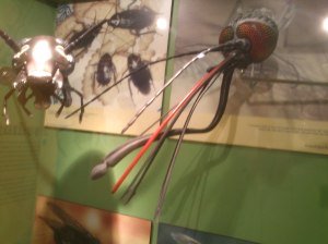 Mosquito Weapon. In 50time its size it looks rather scary